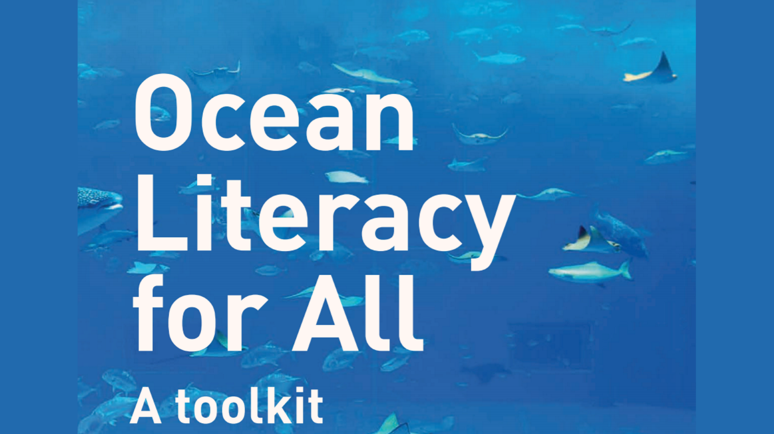 Ocean Literacy for all: a toolkit