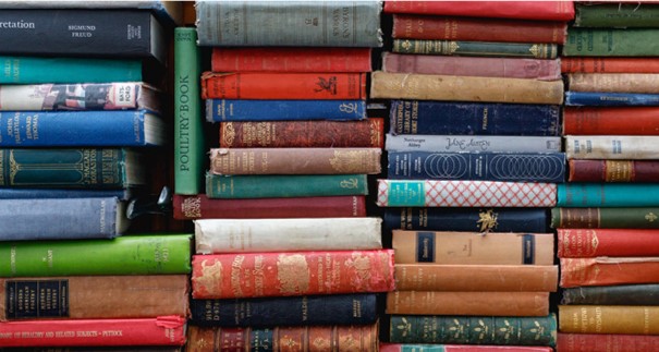 Bode Inspirat&oacute;rio   