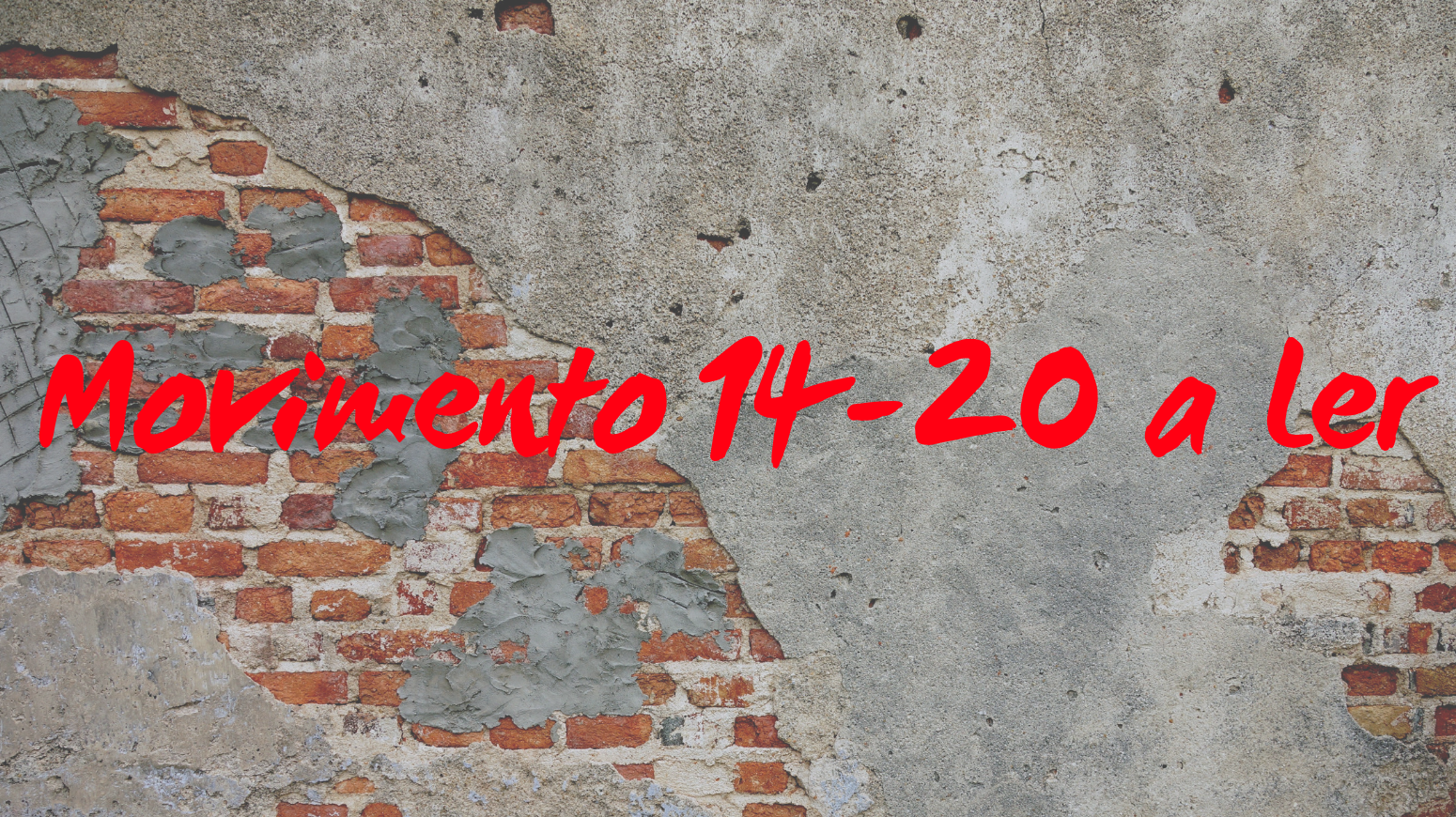 Movimento 14-20 a Ler